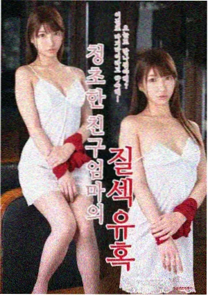 汉江以南的春天剧集海报